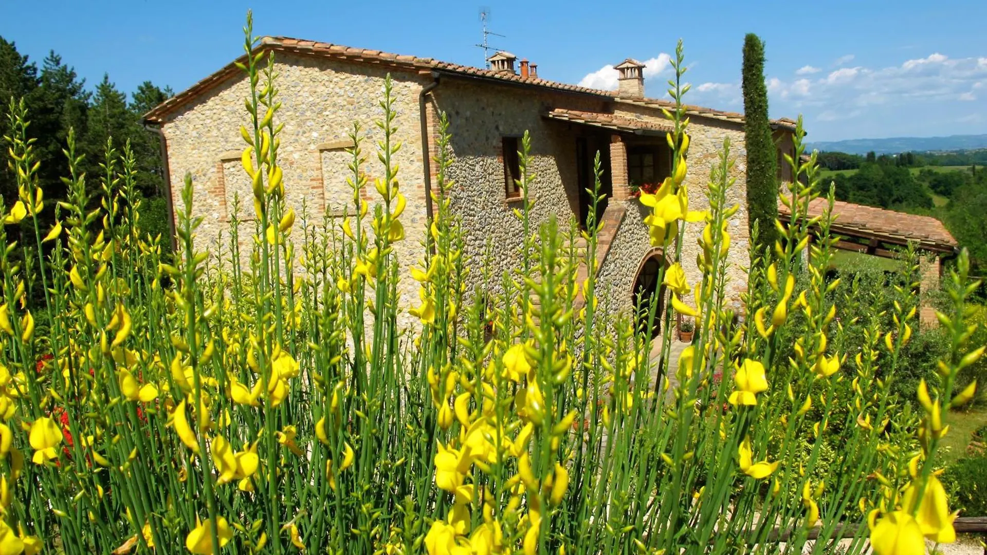 Farm stay Podere Casanuova Villa San Gimignano