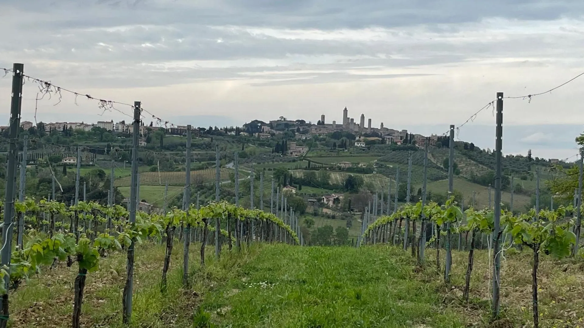 Farm stay Podere Casanuova Villa San Gimignano