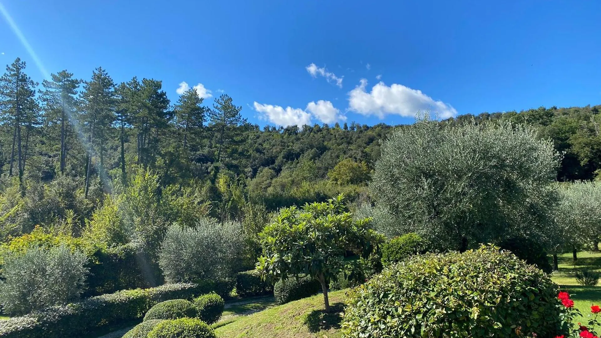 Podere Casanuova Villa San Gimignano Farm stay