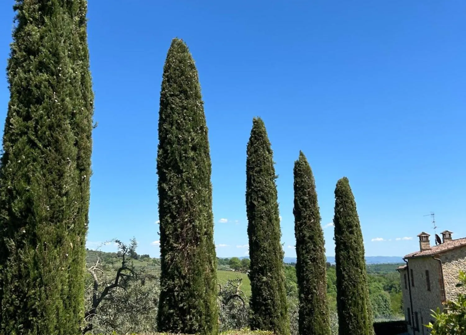 Podere Casanuova Villa San Gimignano