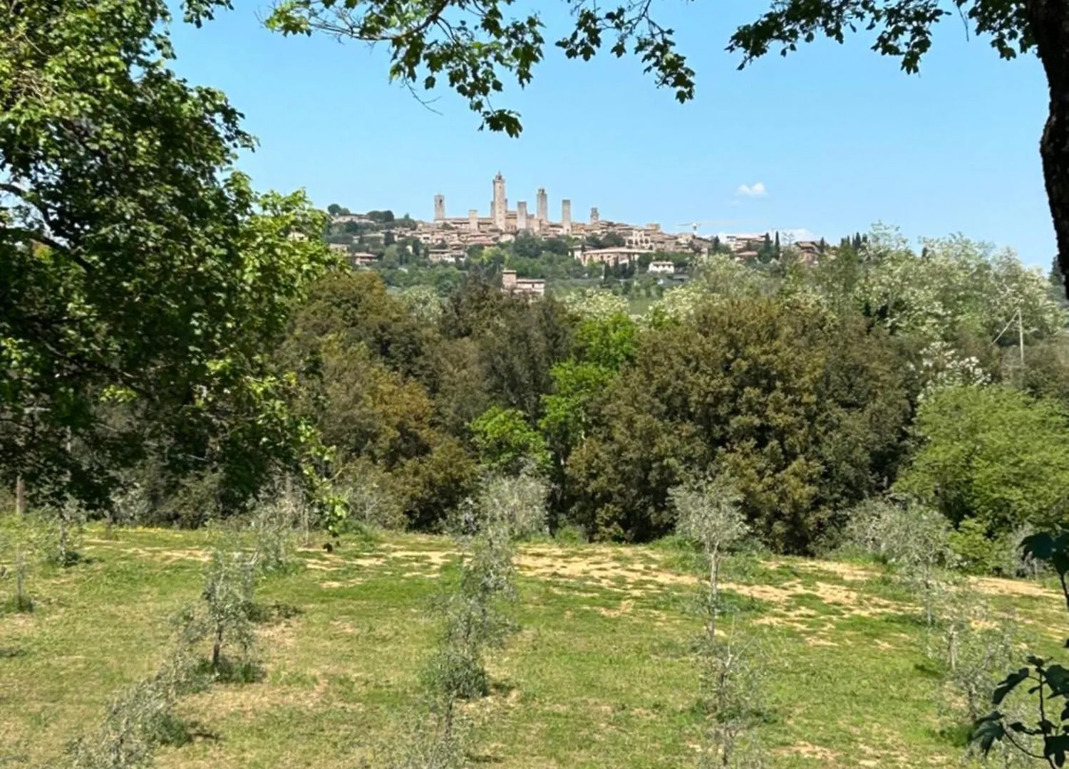 Farm stay Podere Casanuova Villa San Gimignano