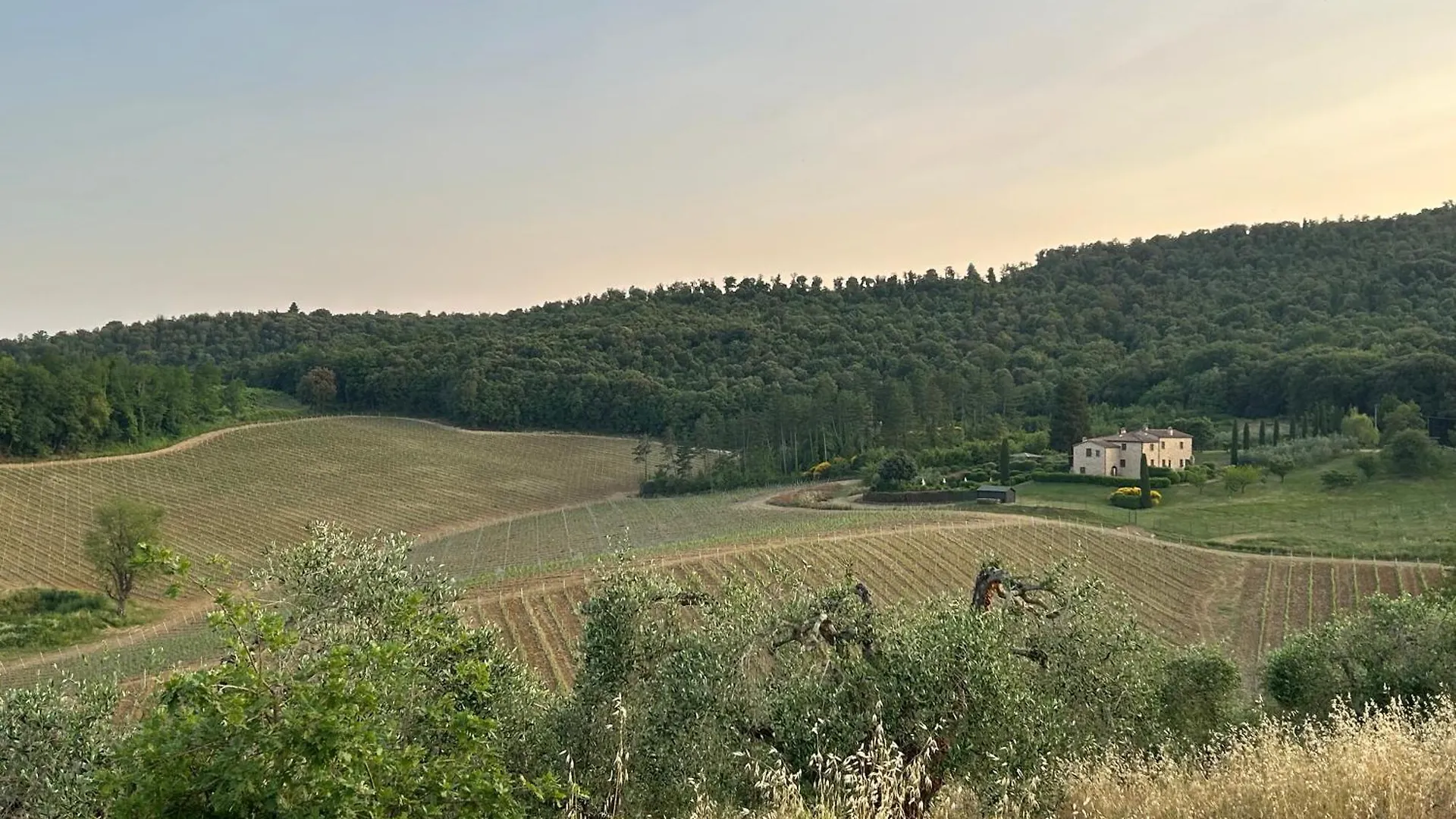 Vakantieboerderij Podere Casanuova San Gimignano