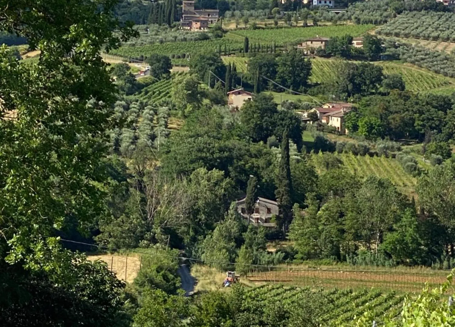 Farm stay Podere Casanuova Villa San Gimignano