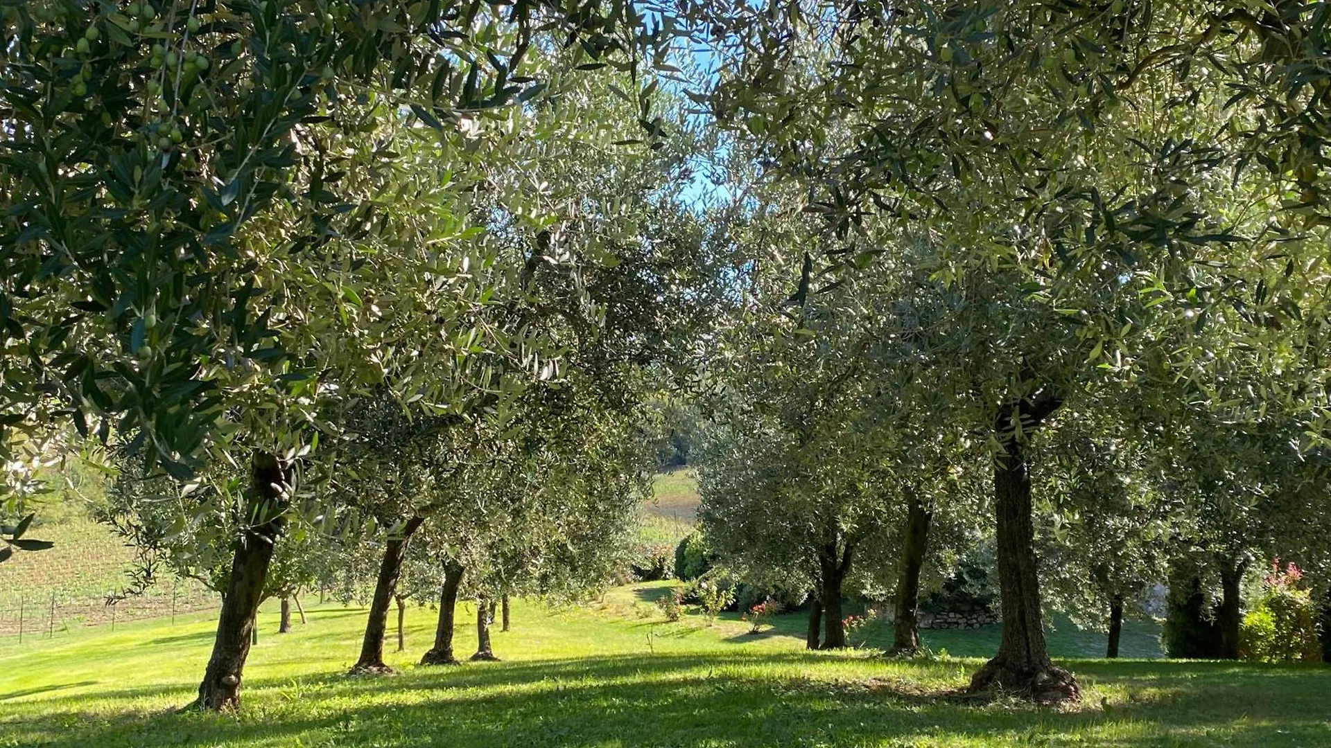 Podere Casanuova Villa San Gimignano 0*,