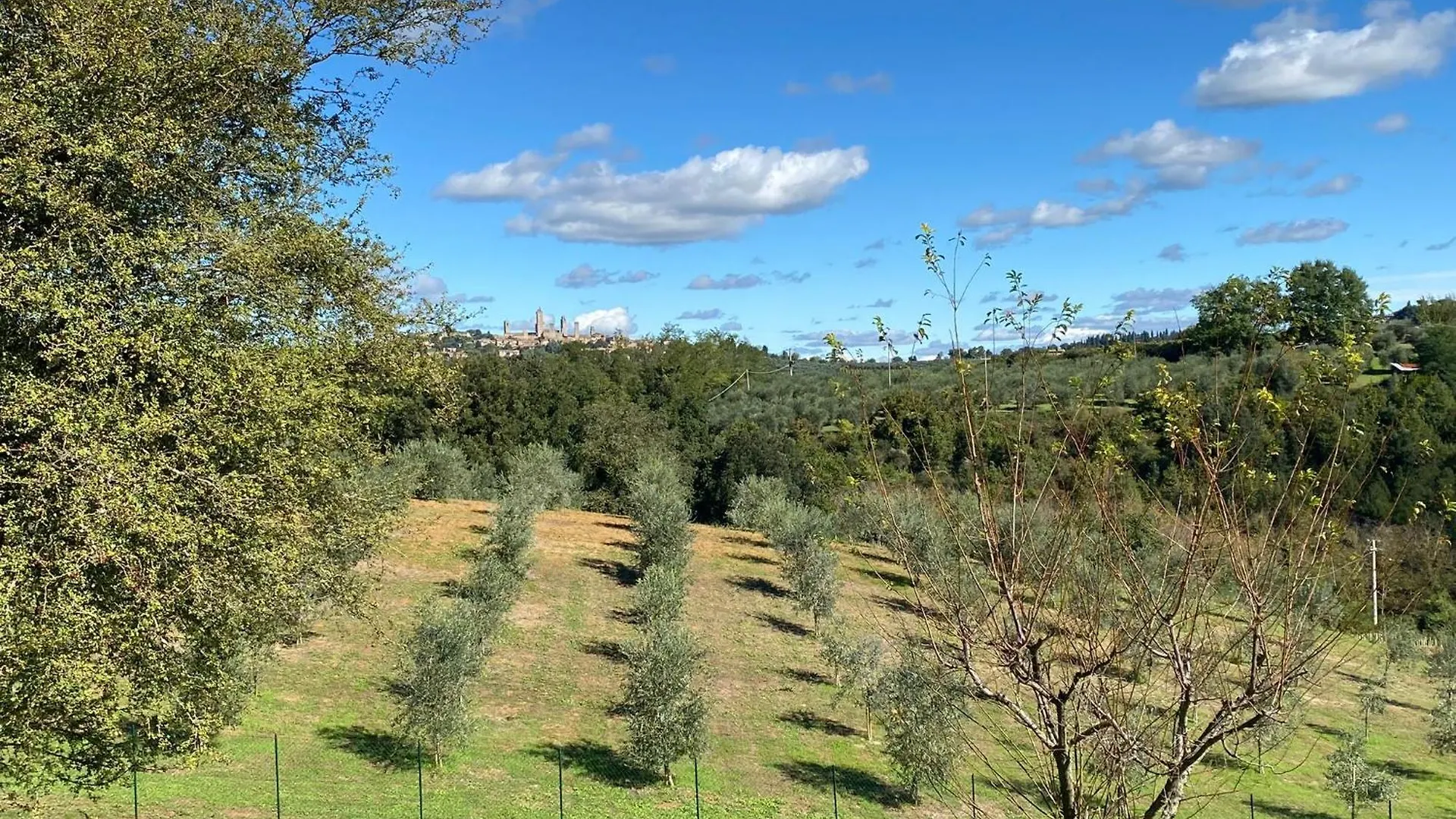 Farm stay Podere Casanuova Villa San Gimignano Italy