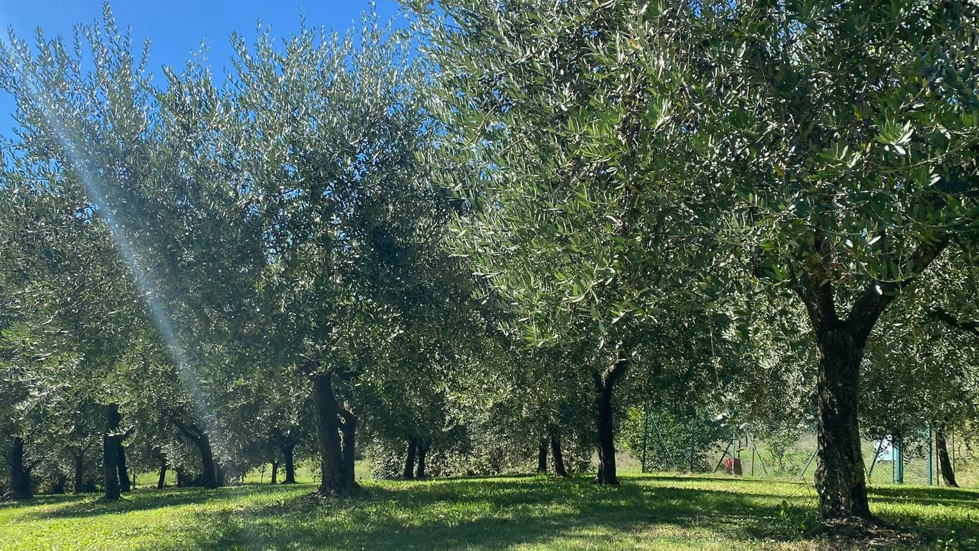 Farm stay Podere Casanuova Villa San Gimignano