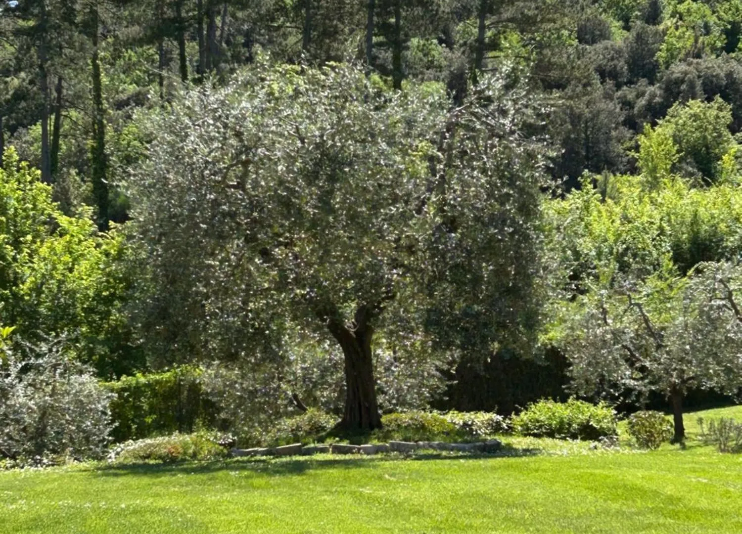 Farm stay Podere Casanuova Villa San Gimignano