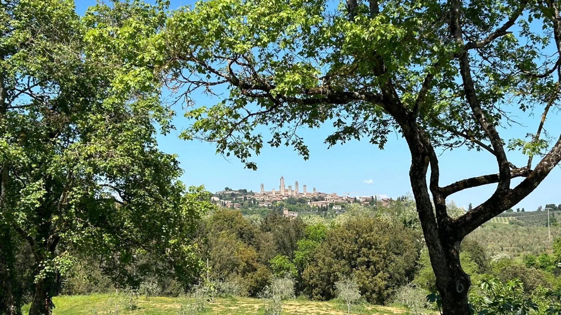 Podere Casanuova Villa San Gimignano Farm stay