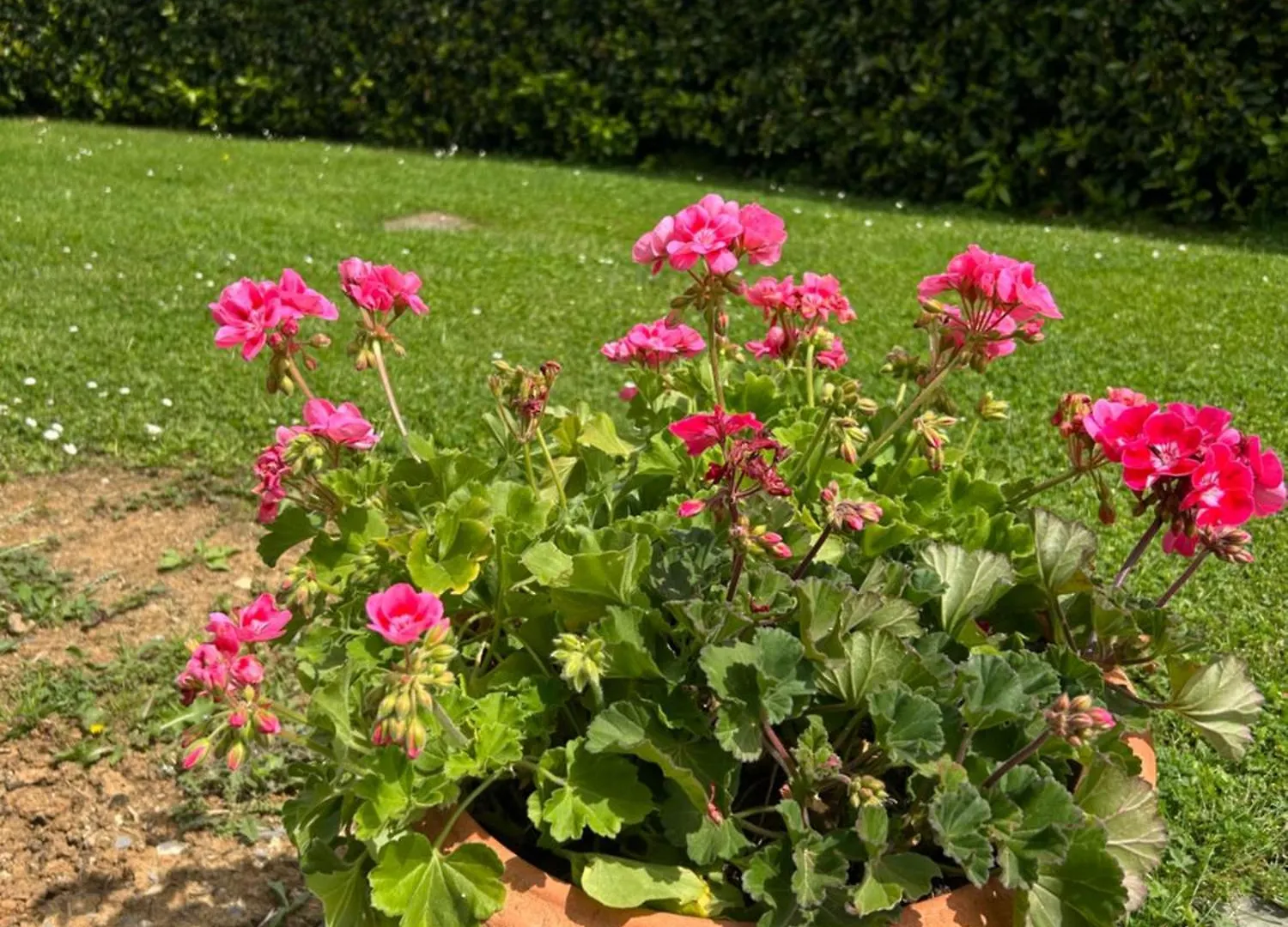 Farm stay Podere Casanuova Villa San Gimignano