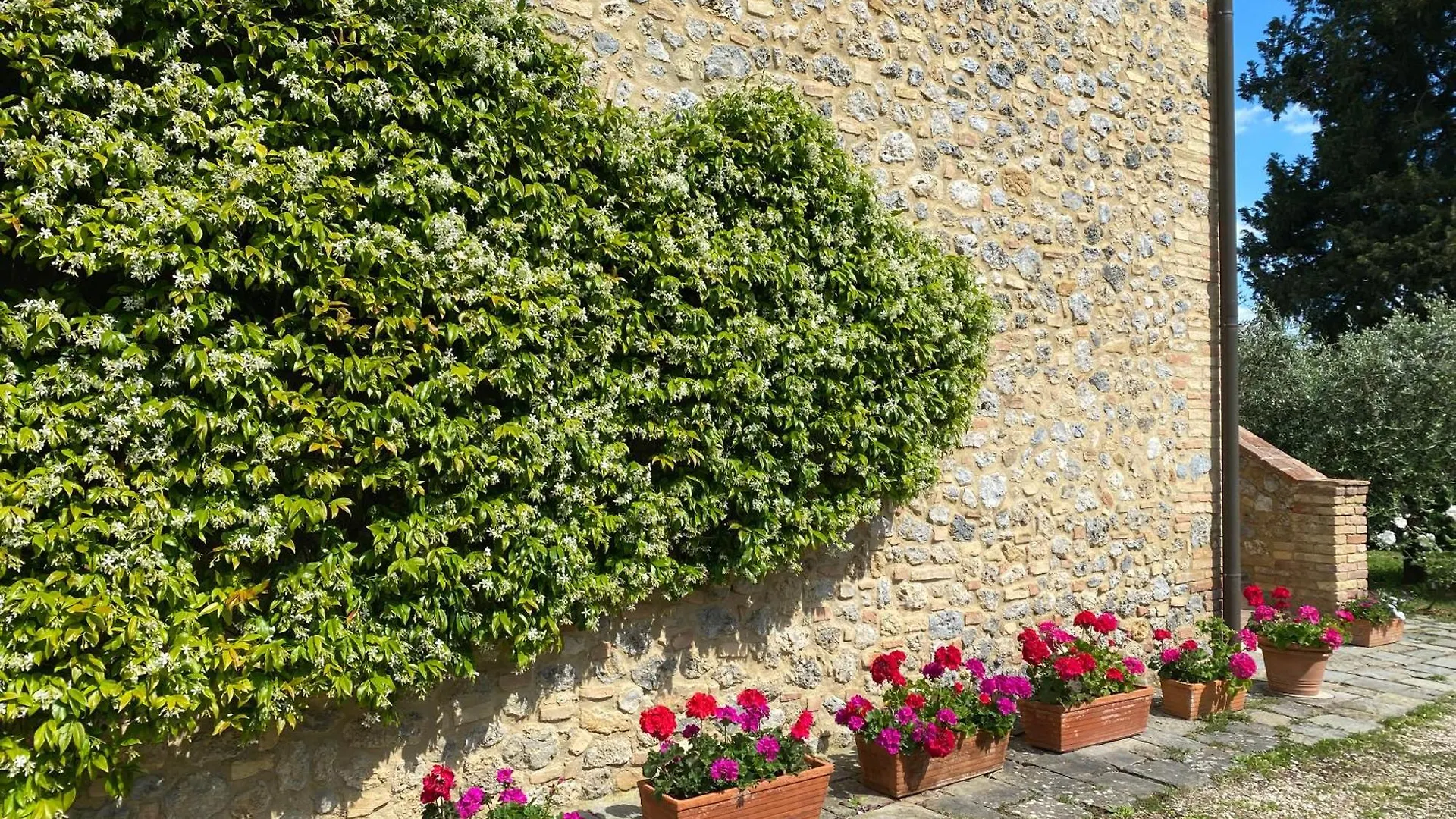 Podere Casanuova Villa San Gimignano Farm stay